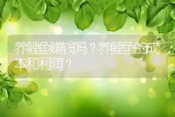 养鲤鱼赚钱吗？养鲤鱼的成本和利润？