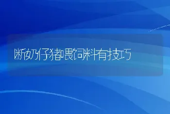 断奶仔猪喂饲料有技巧