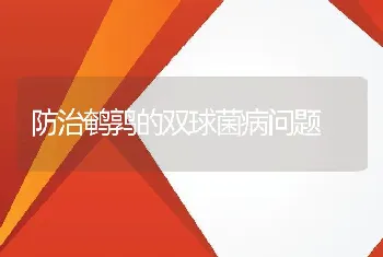 防治鹌鹑的双球菌病问题