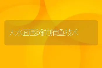 大水面围滩的捕鱼技术