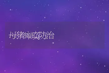 母猪瘫痪防治