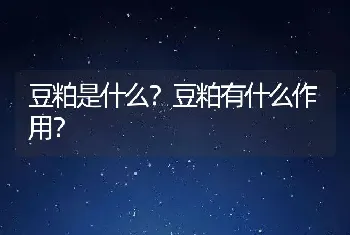 豆粕是什么？豆粕有什么作用？