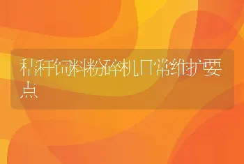 秸秆饲料粉碎机日常维护要点