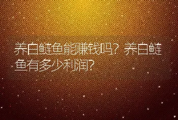 养白鲢鱼能赚钱吗？养白鲢鱼有多少利润？