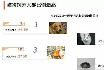数据表明：近半数网友对“宠物”关键词表示不满