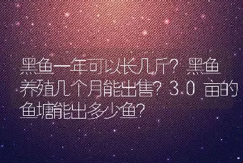 黑鱼一年可以长几斤？黑鱼养殖几个月能出售？30亩的鱼塘能出多少鱼？