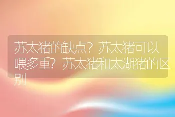 苏太猪的缺点？苏太猪可以喂多重?苏太猪和太湖猪的区别