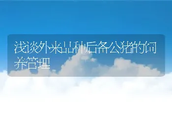 浅谈外来品种后备公猪的饲养管理