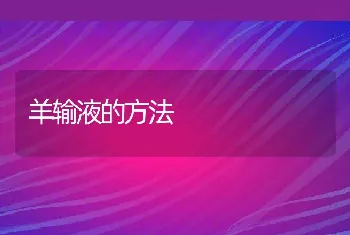 规模化养殖鹌鹑的疫病防治