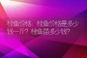 桂鱼价格：桂鱼价格是多少钱一斤？桂鱼苗多少钱？