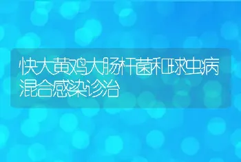 新方法解决冬季密闭猪舍除异味与消毒对比试验