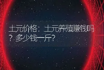 土元价格：土元养殖赚钱吗？多少钱一斤？