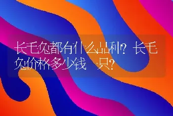 长毛兔都有什么品种？长毛兔价格多少钱一只？