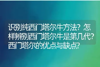 识别纯西门塔尔牛方法？怎样辨别西门塔尔牛是第几代？西门塔尔的优点与缺点?