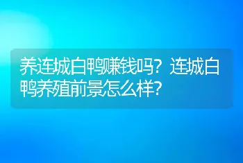 养连城白鸭赚钱吗？连城白鸭养殖前景怎么样？