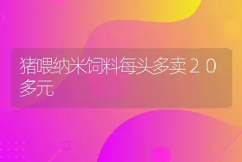 猪喂纳米饲料每头多卖２０多元