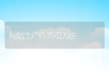 蝇蛆生产性养殖方法