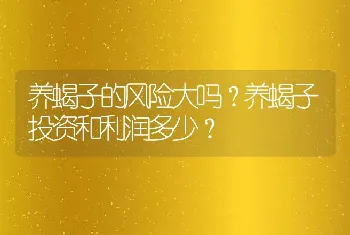 养蝎子的风险大吗？养蝎子投资和利润多少？