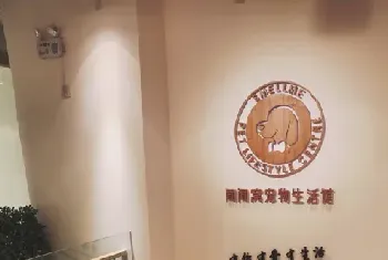 中国最高端的七星级宠物酒店坐落北京三里屯