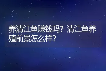 养清江鱼赚钱吗？清江鱼养殖前景怎么样？