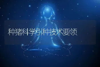 种猪科学引种技术要领