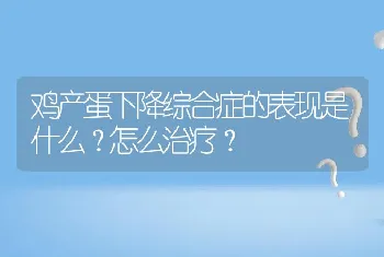 鸡产蛋下降综合症的表现是什么？怎么治疗？