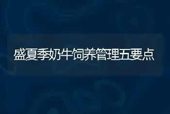 盛夏季奶牛饲养管理五要点