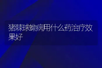 猪棘球蚴病用什么药治疗效果好