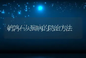 鹌鹑石灰脚病的防治方法