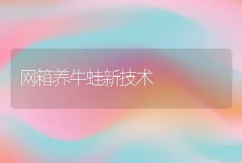 网箱养牛蛙新技术