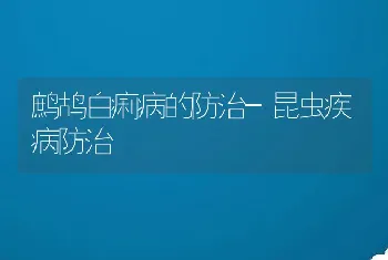 鹧鸪白痢病的防治-昆虫疾病防治