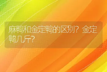 麻鸭和金定鸭的区别？金定鸭几斤？