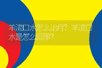 羊流口水怎么治疗?羊流口水是怎么回事？