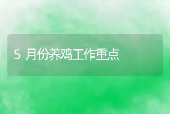 5月份养鸡工作重点