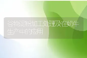 谷物淀粉加工处理及在奶牛生产中的应用