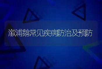 溆浦鹅常见疾病防治及预防