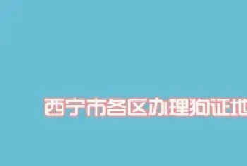 西宁市各区办理狗证地址一览