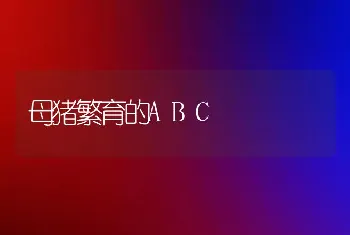 母猪繁育的ABC