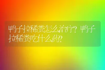 鸭子拉稀粪怎么治疗？鸭子拉稀粪吃什么药?