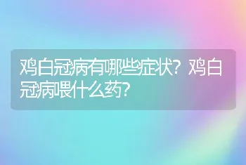 鸡白冠病有哪些症状？鸡白冠病喂什么药？