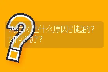 鸡痛风是什么原因引起的？如何治疗？