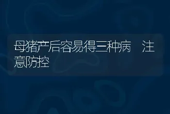 母猪产后容易得三种病 注意防控