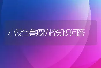 小反刍兽疫防控知识问答