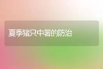 夏季猪只中暑的防治