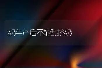 奶牛产后不能乱挤奶