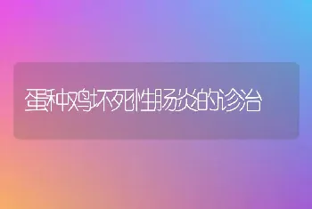 蛋种鸡坏死性肠炎的诊治