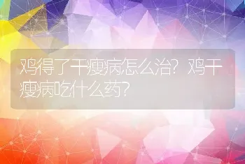 鸡得了干瘦病怎么治?鸡干瘦病吃什么药？