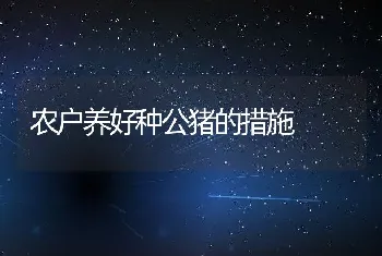 农户养好种公猪的措施