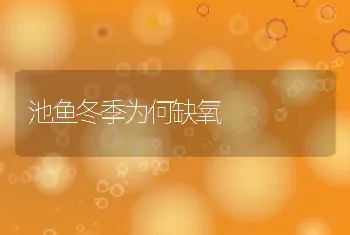 池鱼冬季为何缺氧