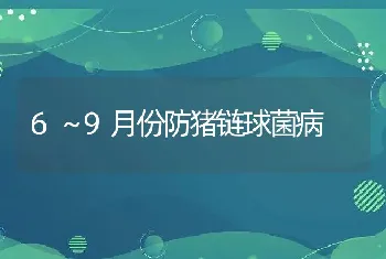 6～9月份防猪链球菌病